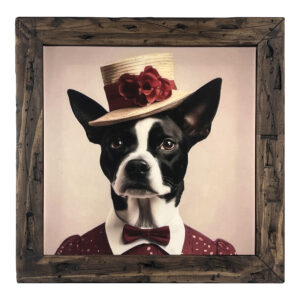 Perro Aristocracy Juliette